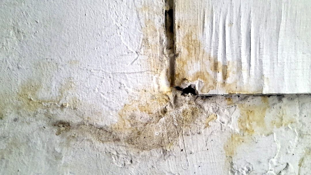 Google Ads for Drywall Repair: A Comprehensive Setup Guide