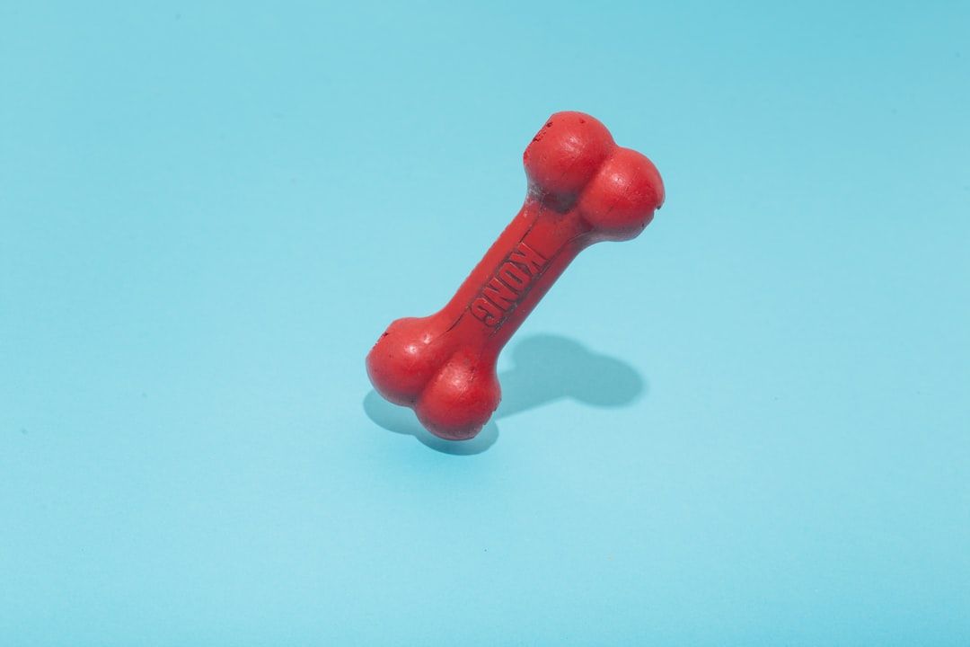 Google Ads for Pet Accessories Businesses: A Comprehensive Setup Guide