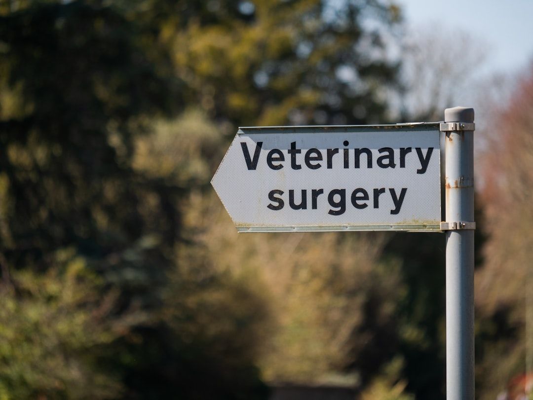 Google Ads for Veterinary Preventative Medicine: A Comprehensive Setup Guide