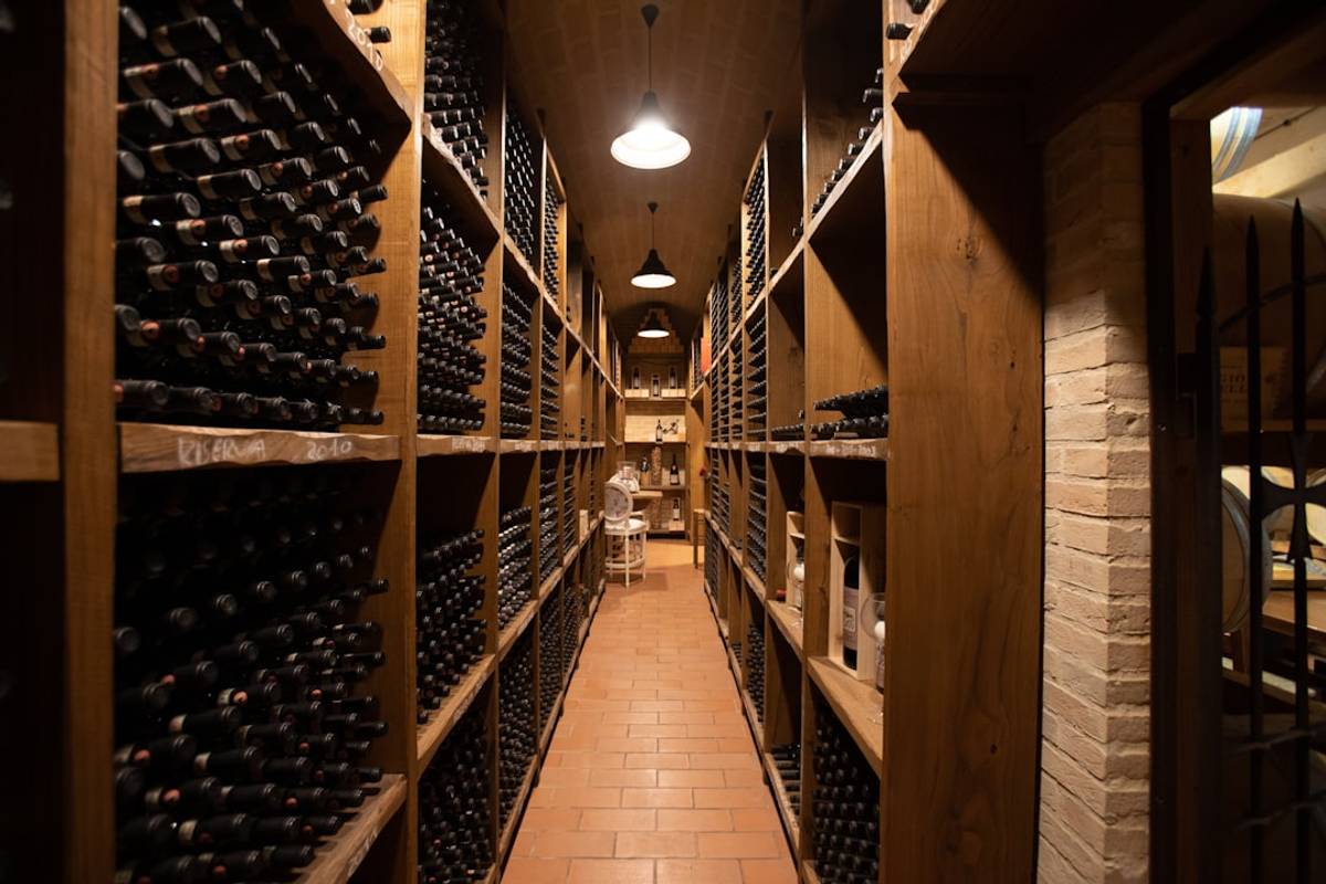 Google Ads for Wine Cellar Businesses: A Comprehensive Setup Guide