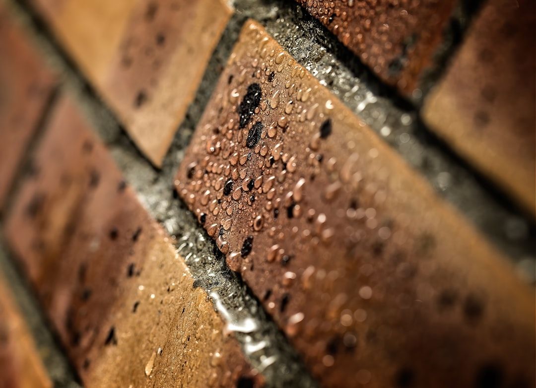 Google Ads for Waterproofing Contractors: A Comprehensive Setup Guide