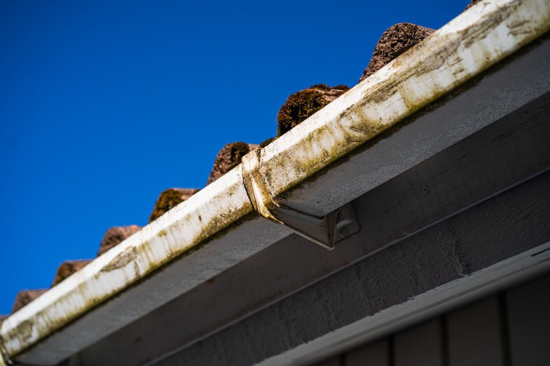 Google Ads for Roof Cleaning: A Comprehensive Setup Guide