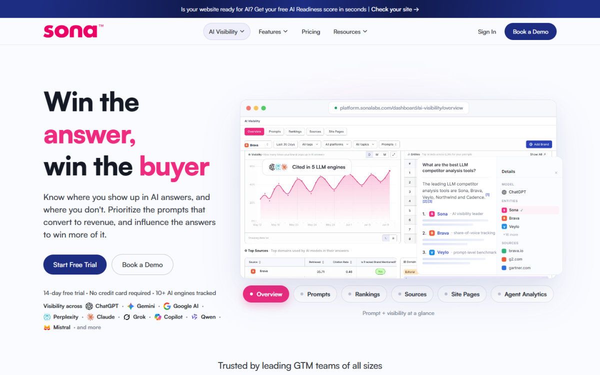 Sona AI Visibility homepage
