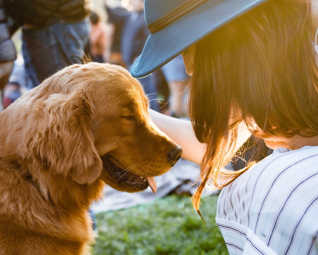 Google Ads for Therapy Dog Services: A Comprehensive Setup Guide