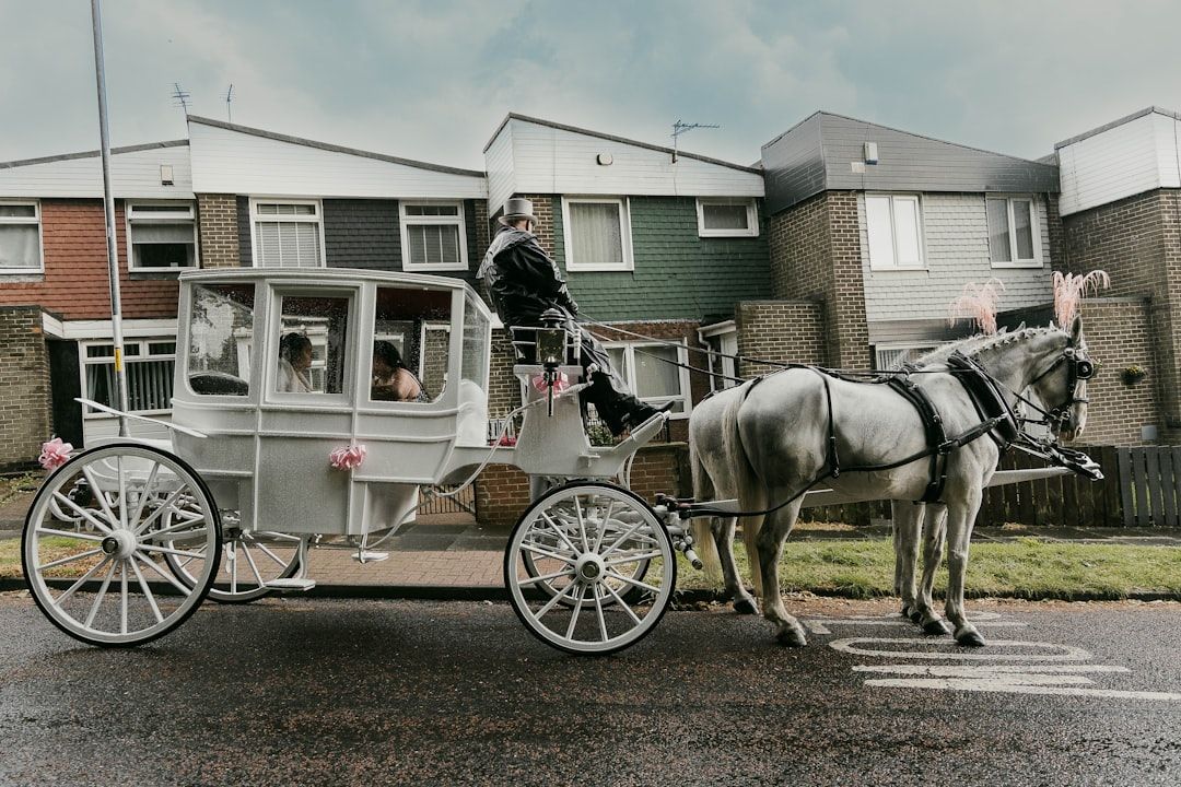 Google Ads for Horse Transport Services: A Comprehensive Setup Guide