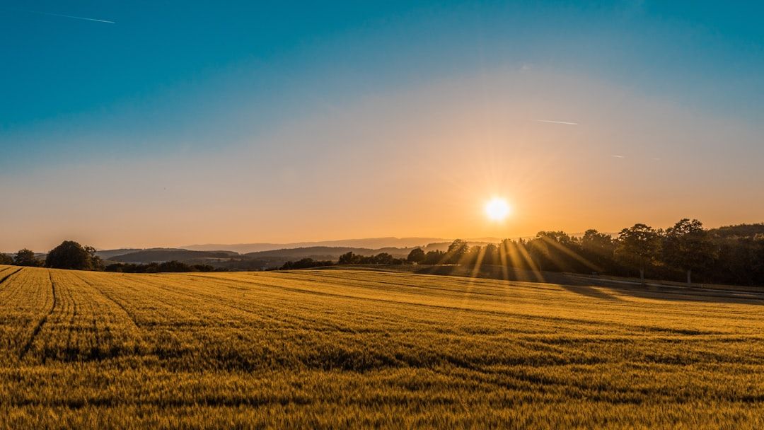 Google Ads for Farm Insurance: A Comprehensive Setup Guide