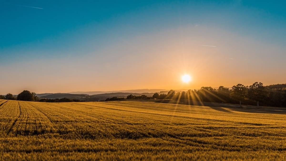 Google Ads for Farm Insurance: A Comprehensive Setup Guide