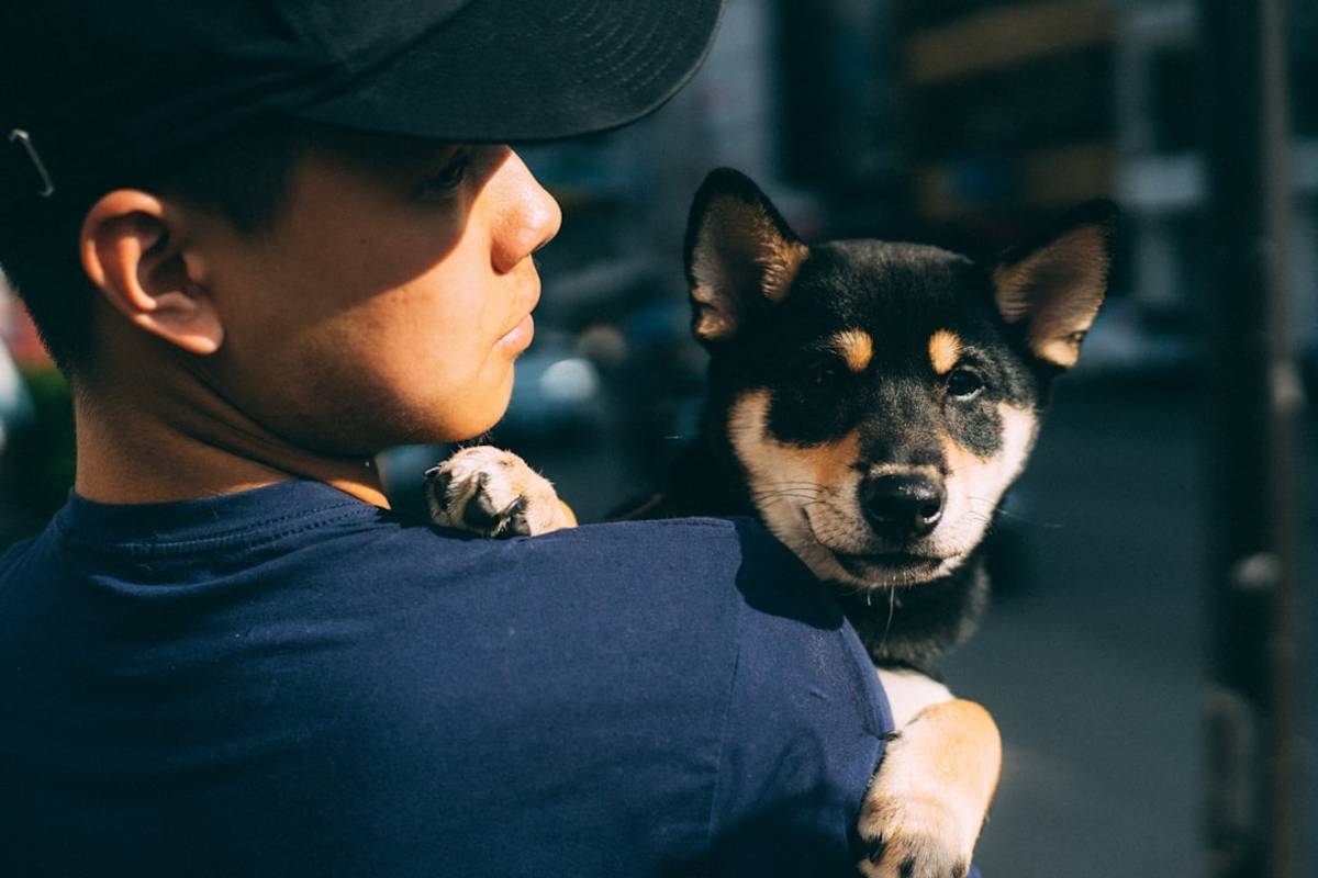 Google Ads for Pet Insurance Providers: A Comprehensive Setup Guide