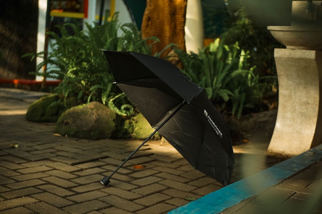 Google Ads for Umbrella Repair Services: A Comprehensive Setup Guide