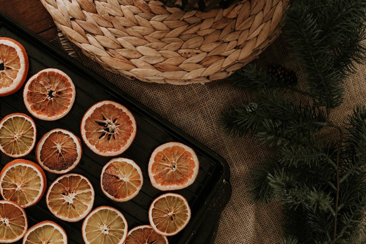 Google Ads for Dehydrated Food Suppliers: A Comprehensive Setup Guide