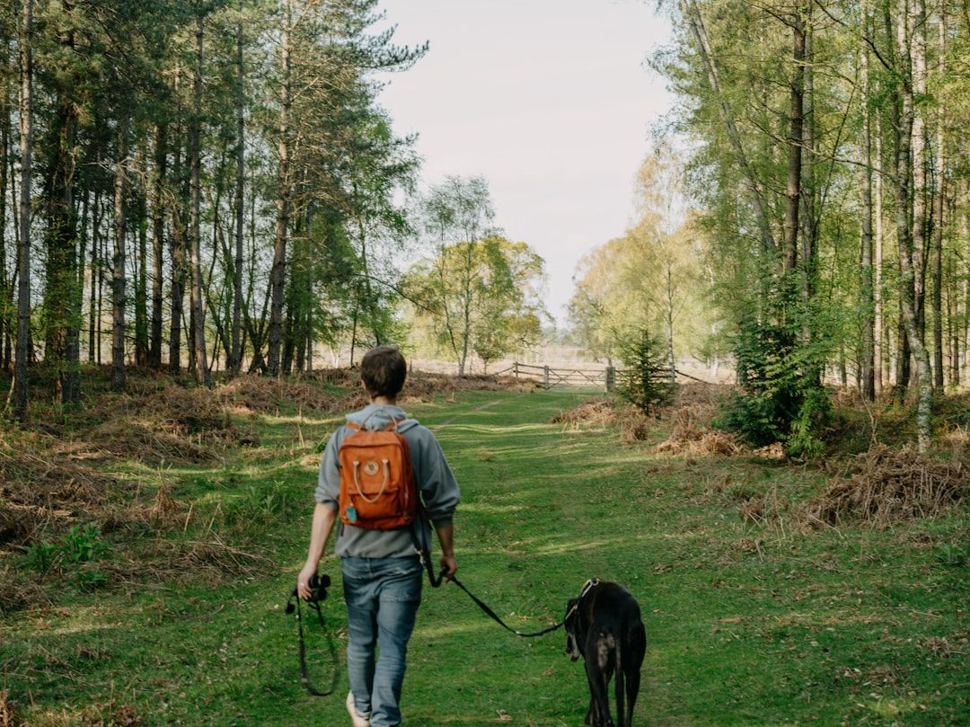 Google Ads for Dog Walkers: A Comprehensive Setup Guide