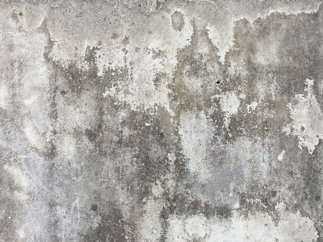 Google Ads for Concrete Cleaning: A Comprehensive Setup Guide