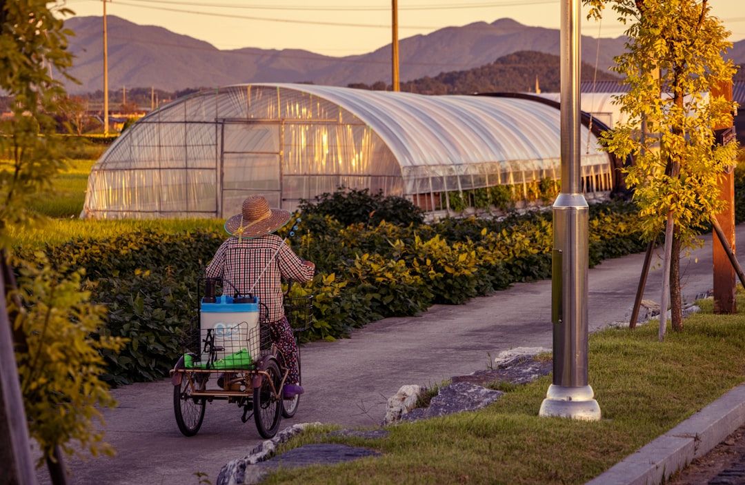Google Ads for Pesticide Certification: A Comprehensive Setup Guide