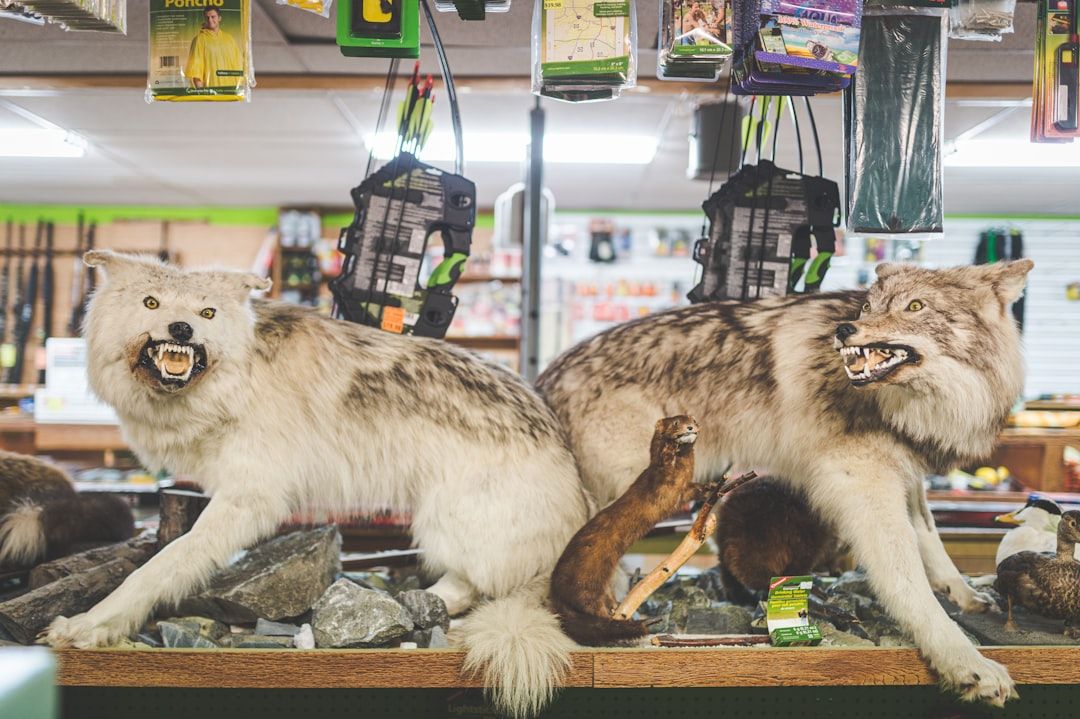 Google Ads for Taxidermy Services: A Comprehensive Setup Guide