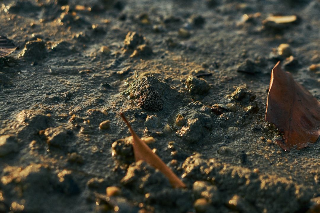Google Ads for Crawl Space Encapsulation: A Comprehensive Setup Guide