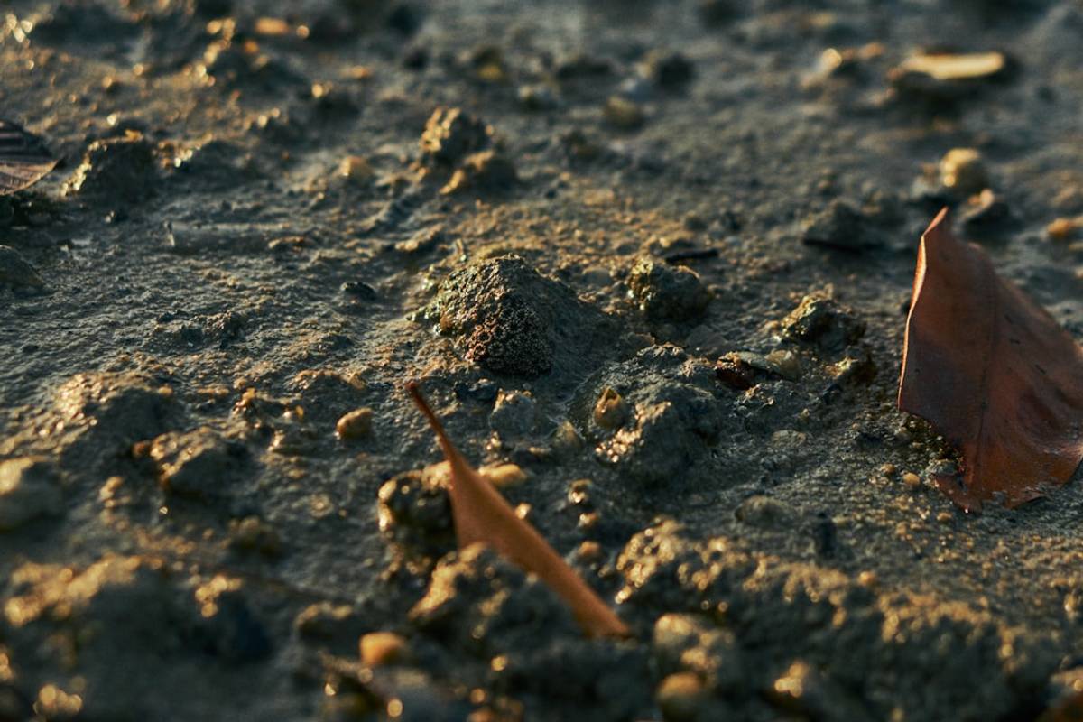 Google Ads for Crawl Space Encapsulation: A Comprehensive Setup Guide
