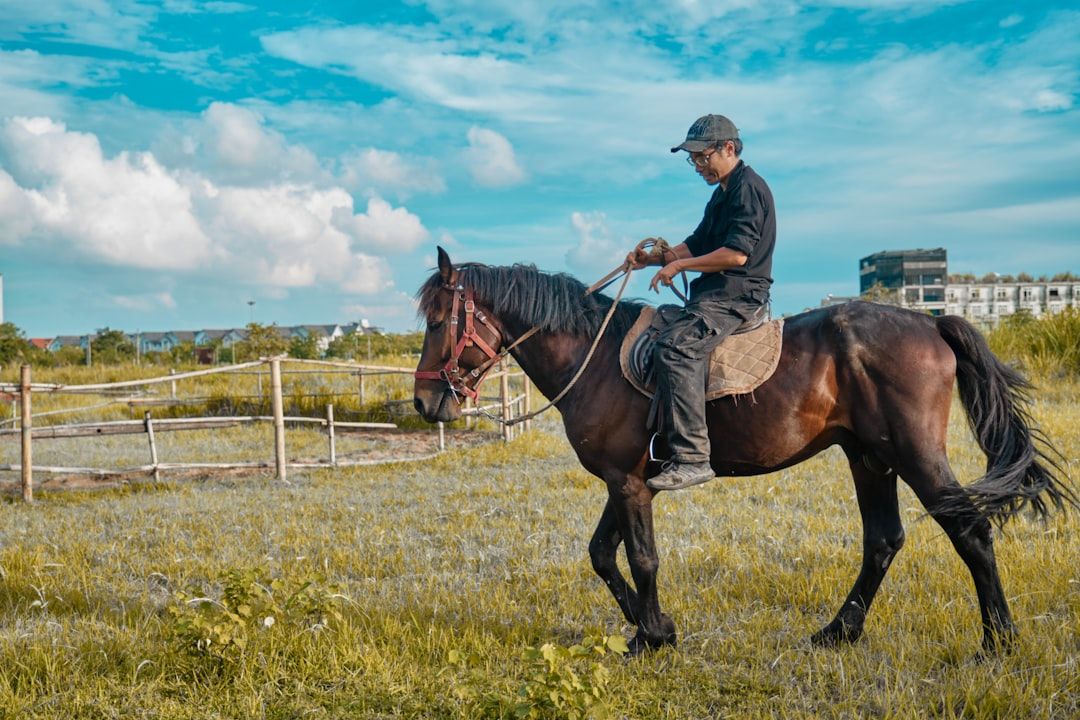 Google Ads for Horse Training: A Comprehensive Setup Guide