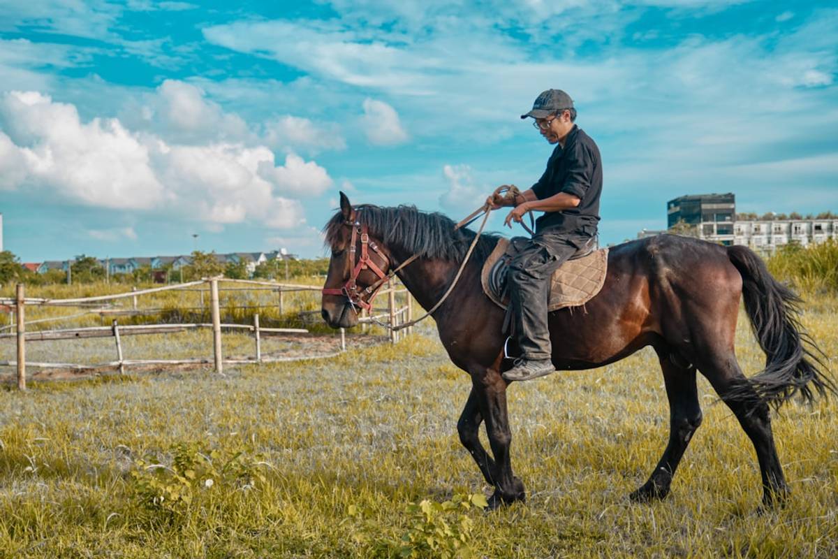Google Ads for Horse Training: A Comprehensive Setup Guide