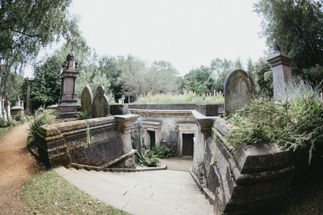 Google Ads for Pet Cemetery: A Comprehensive Setup Guide