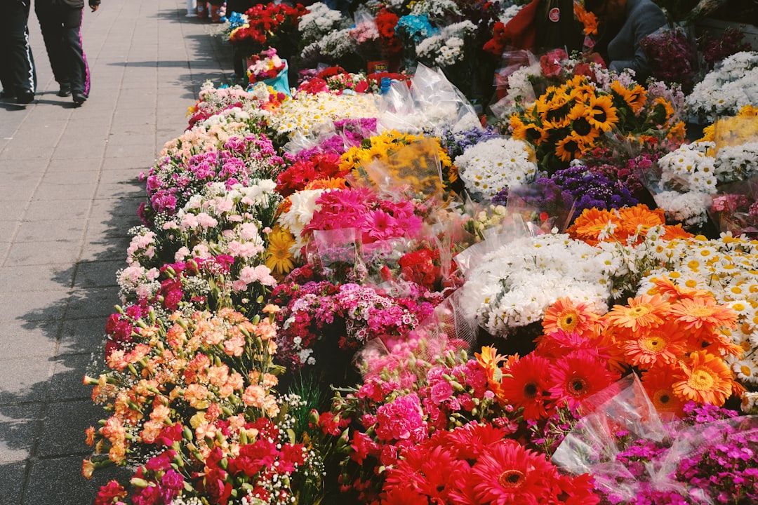 Google Ads for Wholesale Florists: A Comprehensive Setup Guide