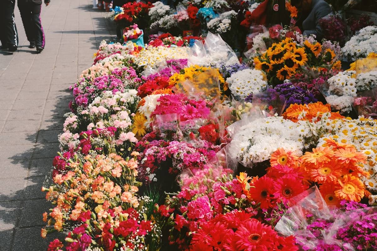 Google Ads for Wholesale Florists: A Comprehensive Setup Guide