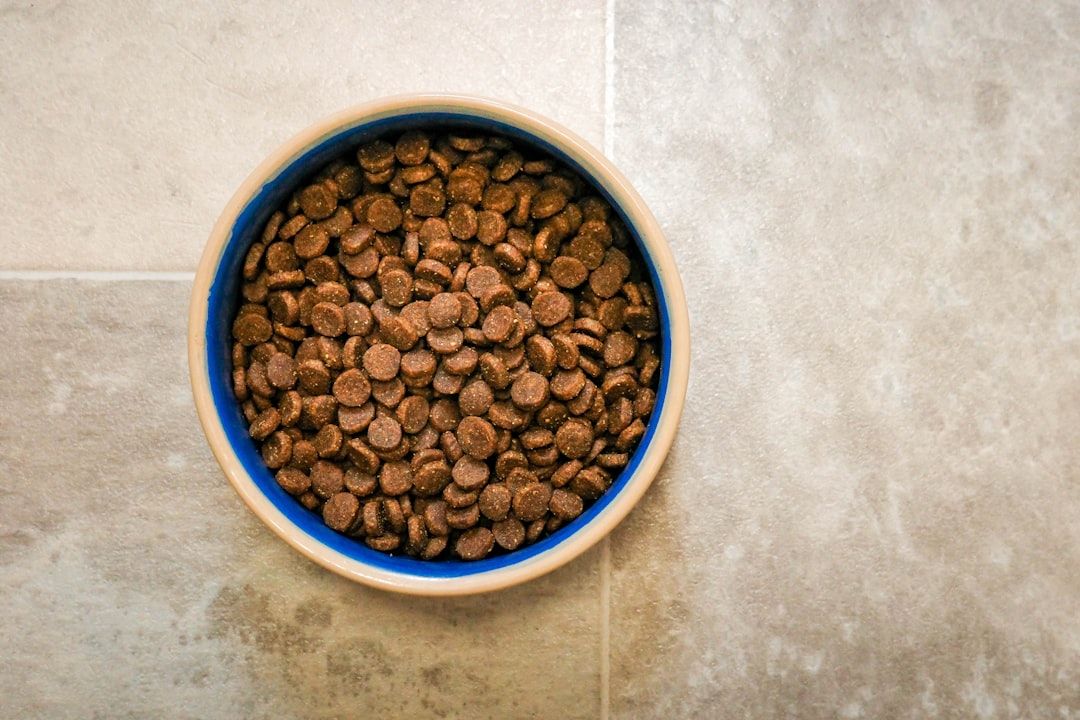 Google Ads for Wholesale Pet Foods: A Comprehensive Setup Guide
