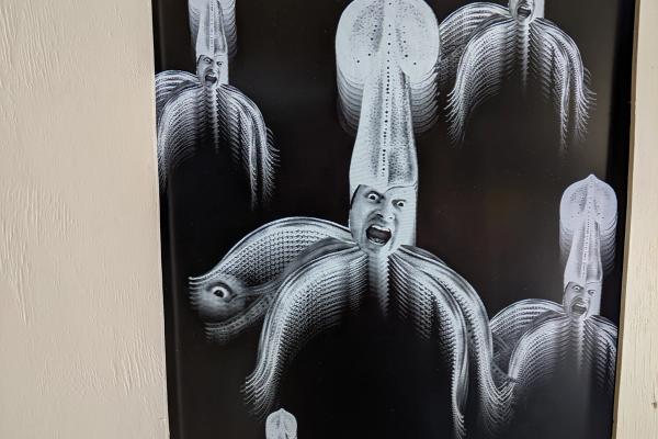 Lots of squid with the face of the same man!