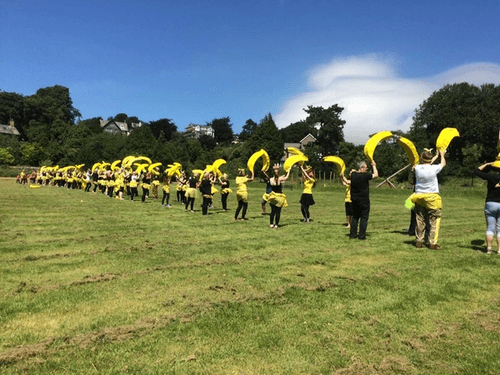 Rows of banana carrying people on a field