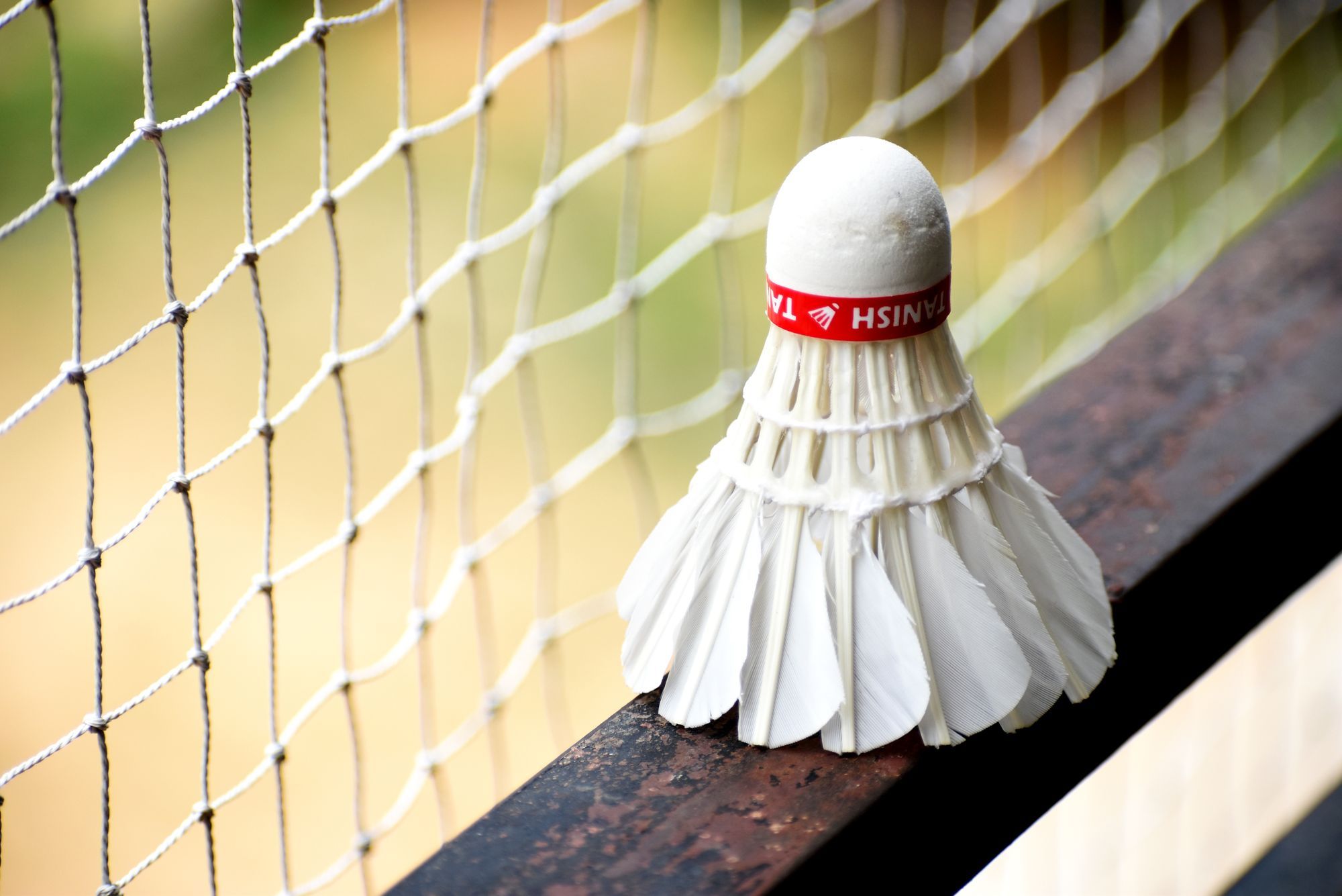 A white feather shuttlecock with a red band resting on a wooden rail in front of a white mesh badminton net