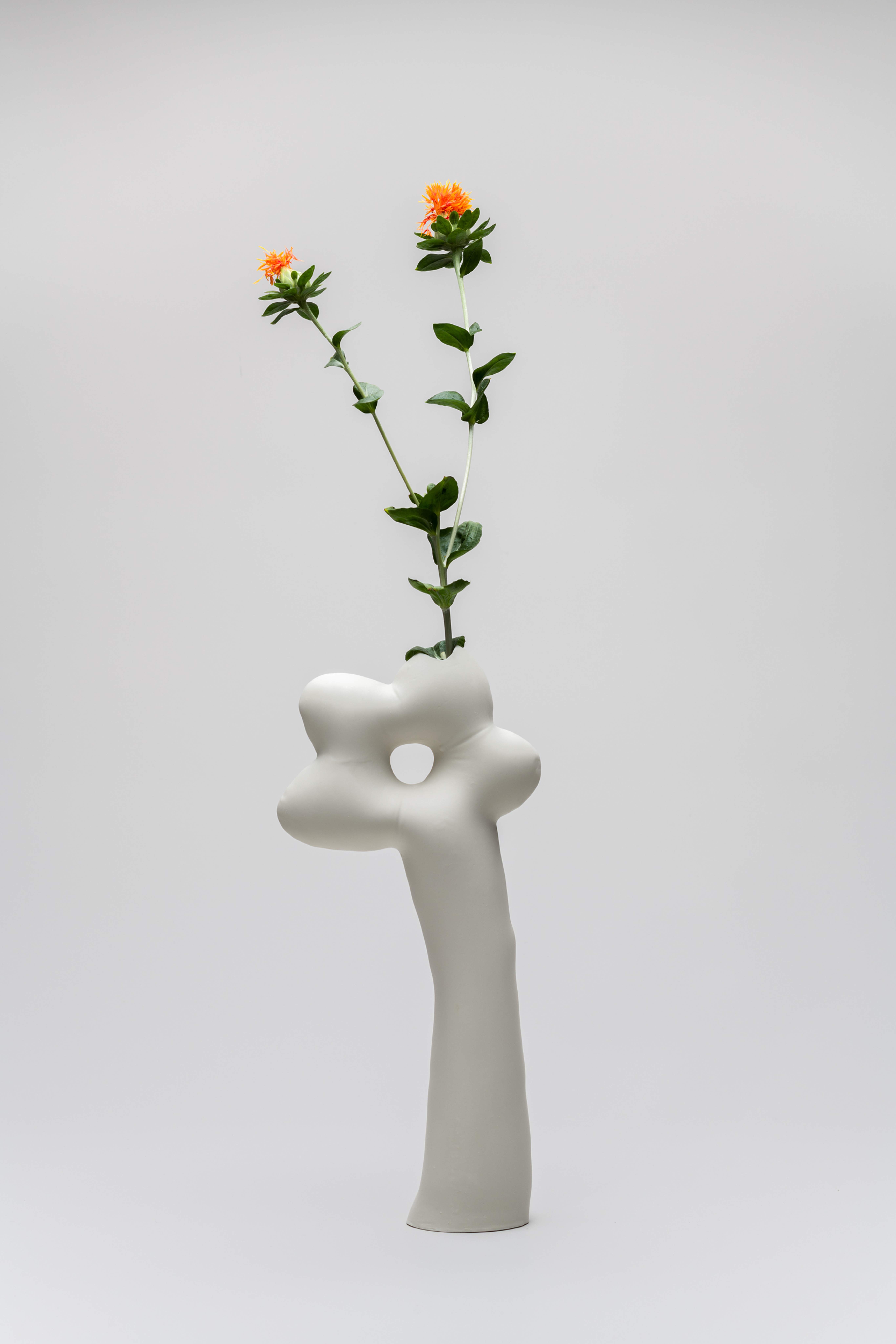 Image © Bachner Vessels