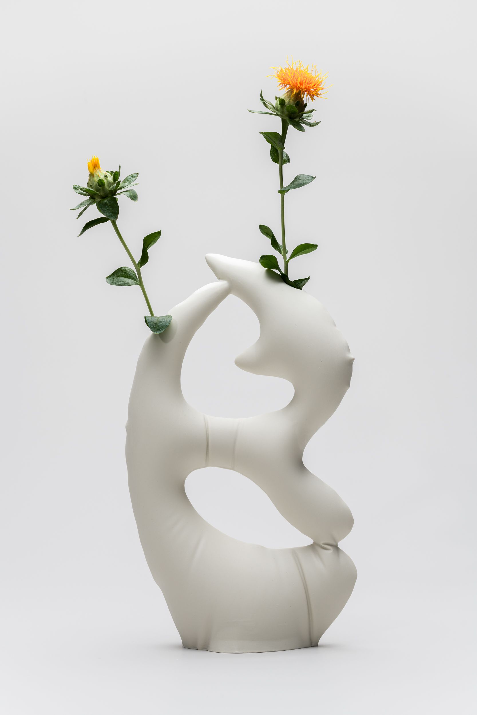 Image © Bachner Vessels