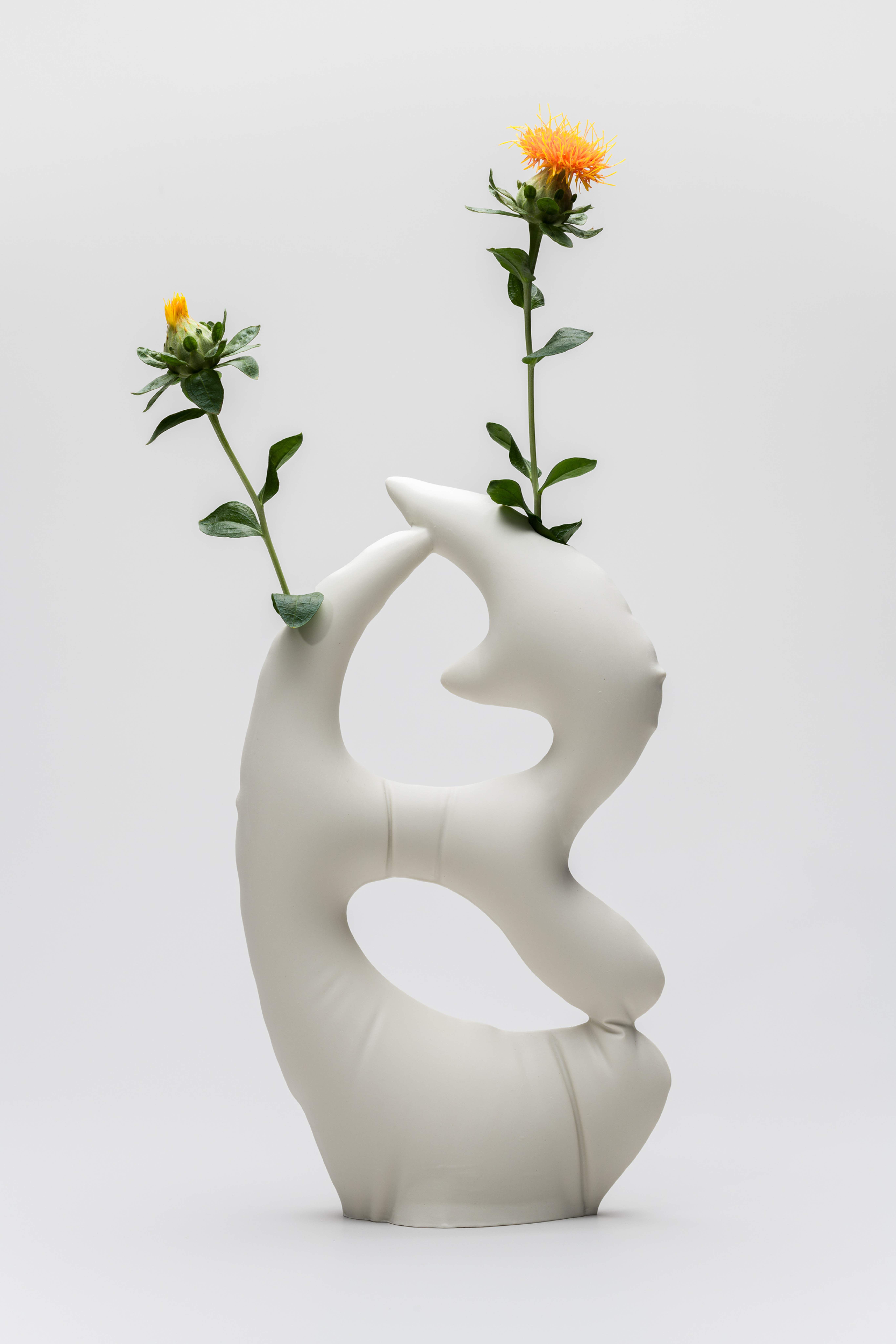 Image © Bachner Vessels
