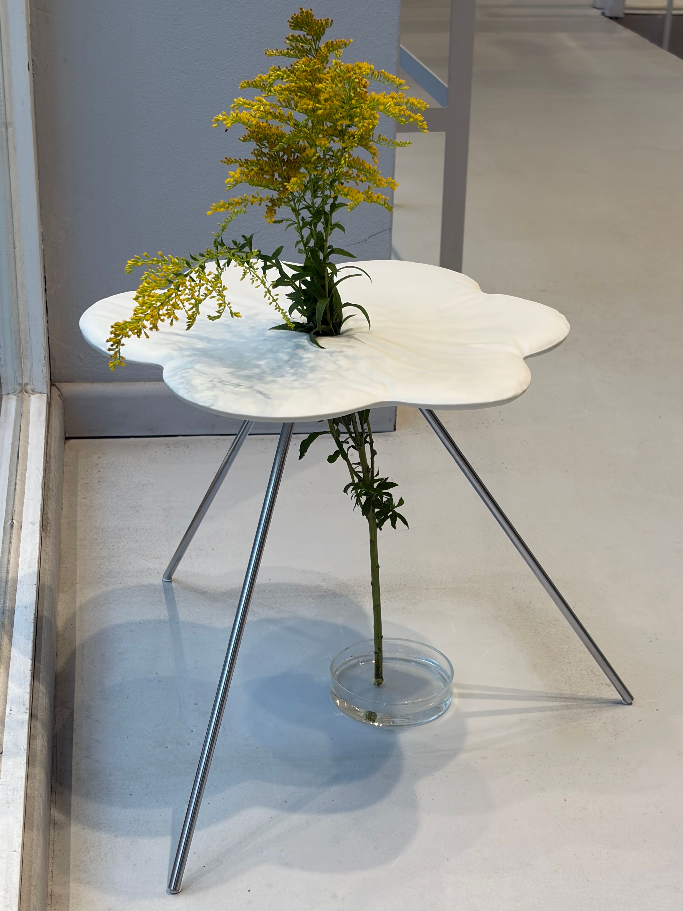 Image © Bachner Vessels