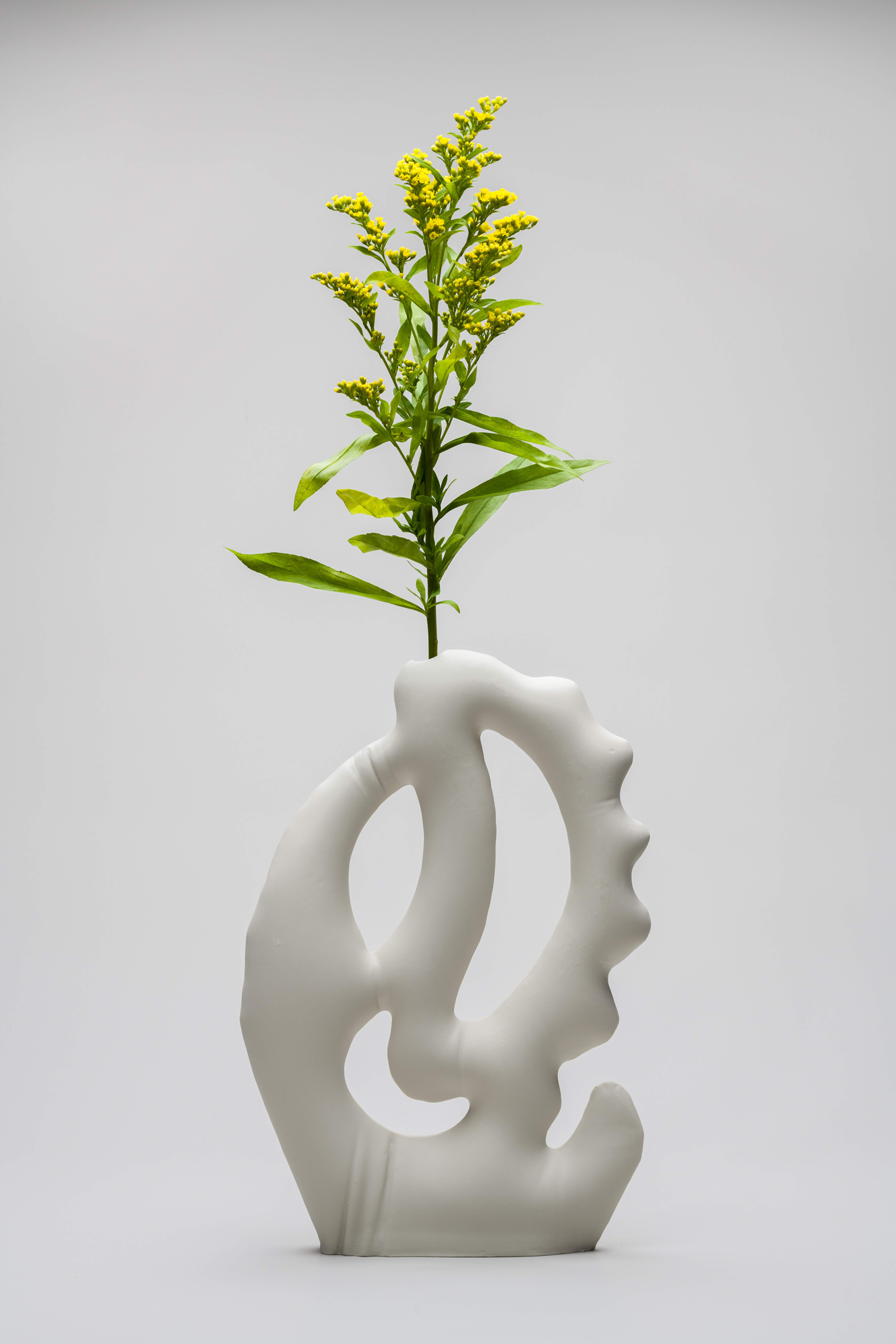 Image © Bachner Vessels
