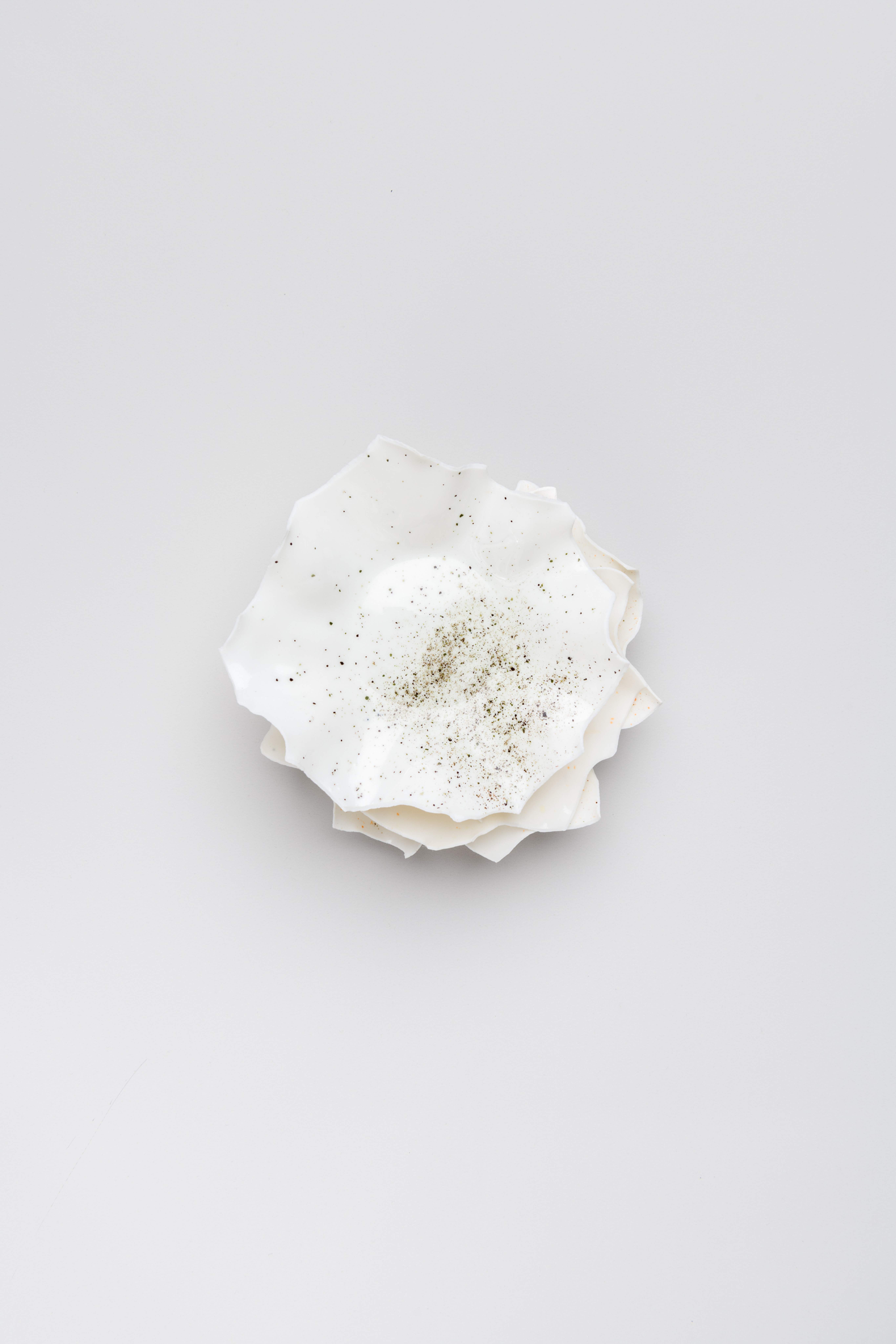 Image © Bachner Vessels