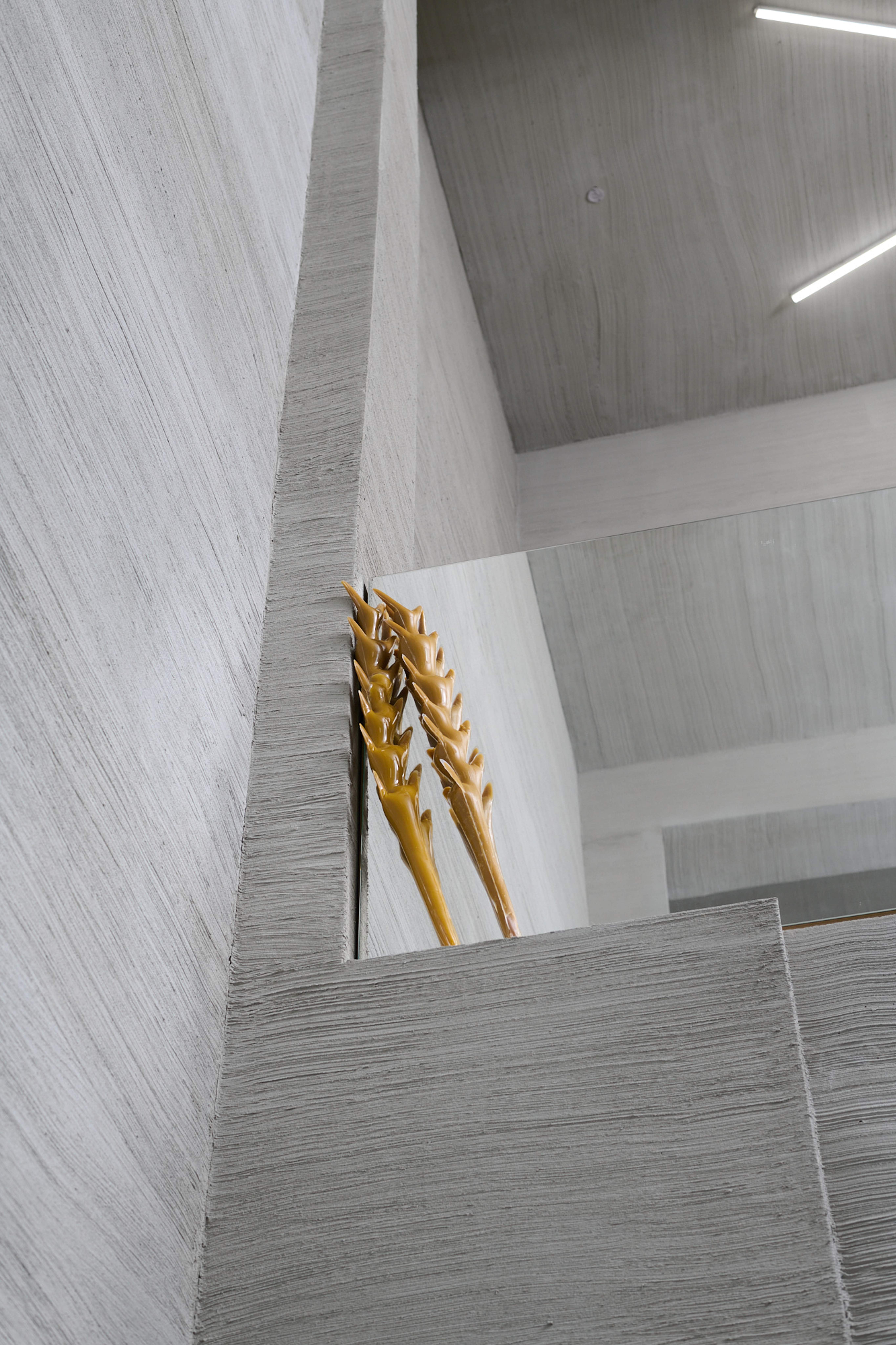 Image © Bachner Vessels