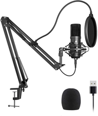 Microphone