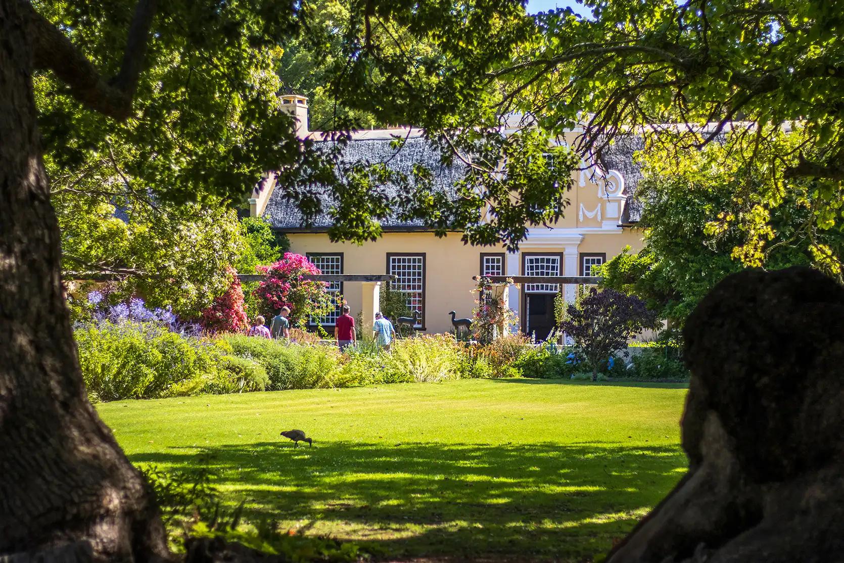 Vergelegen Wine Estate: A Guide to its Grounds and Gardens