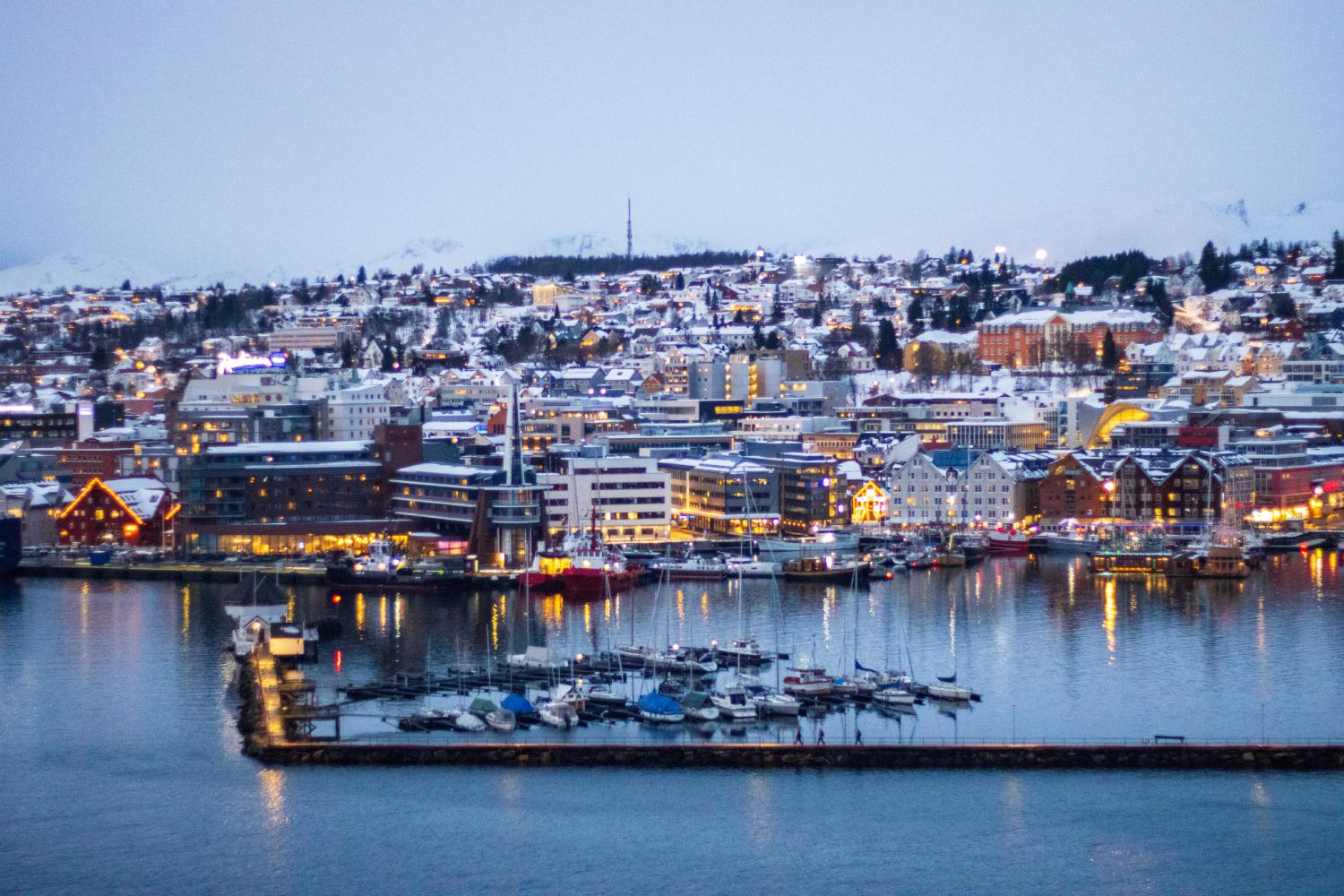 Whales, Waves & Winter Lights: A Tromsø Travel Guide