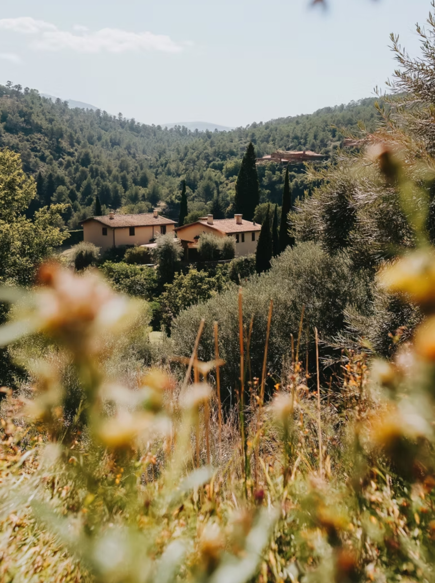 Italian Countryside