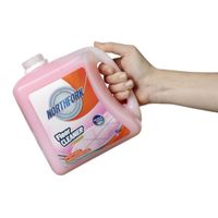 Floor Cleaner with Ammonia 2L_2