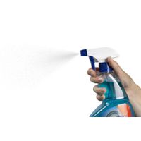 Window and Glass Cleaner Alcohol Free 750ML_2