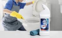 Toilet Bowl Cleaner 500ML_4