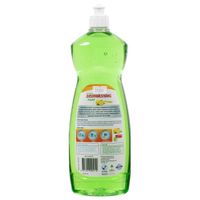 Dishwashing Liquid 1L Retail_1