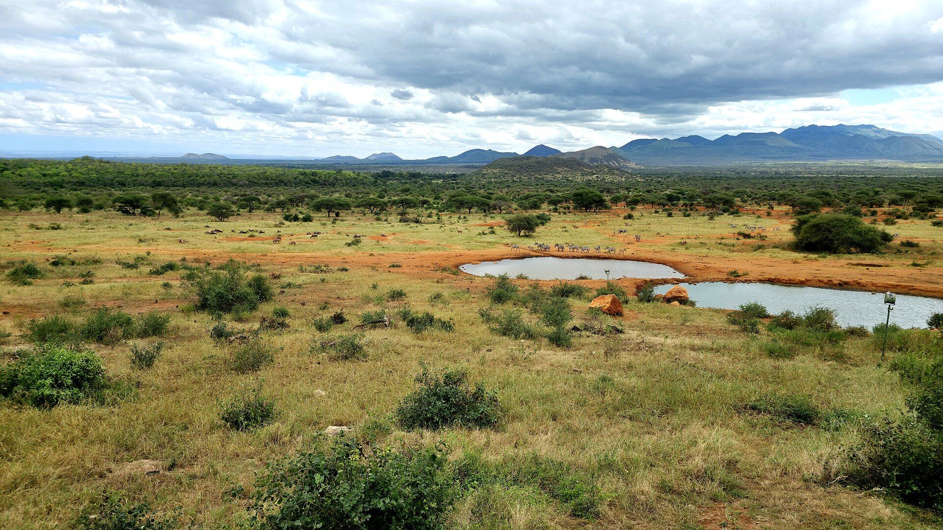 View of Tsavo