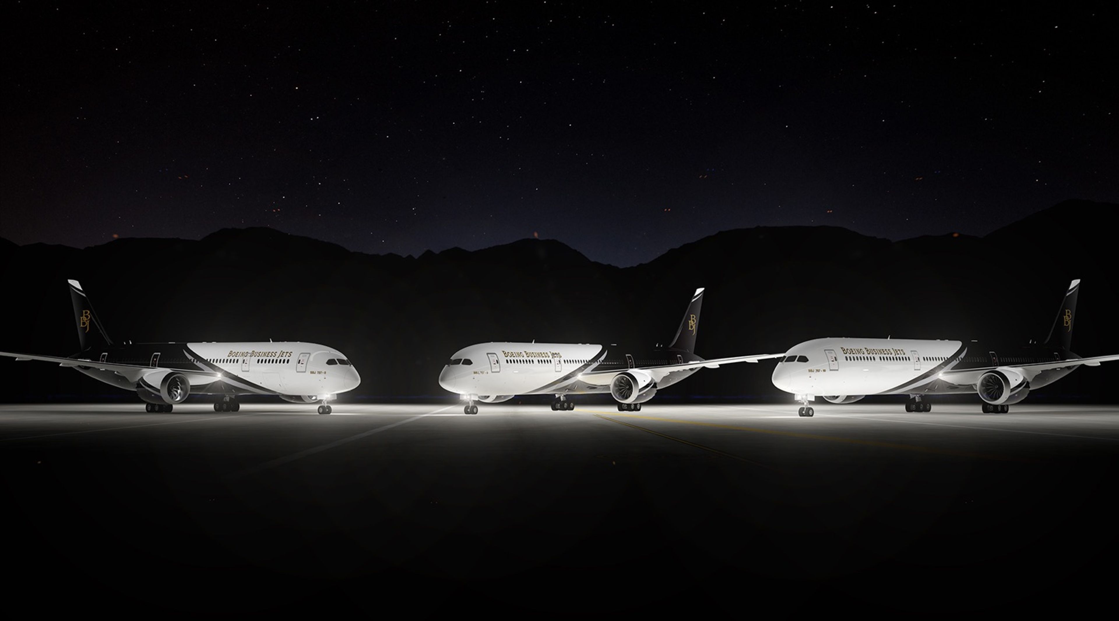 BBJ 787 family: 787-8 aircraft