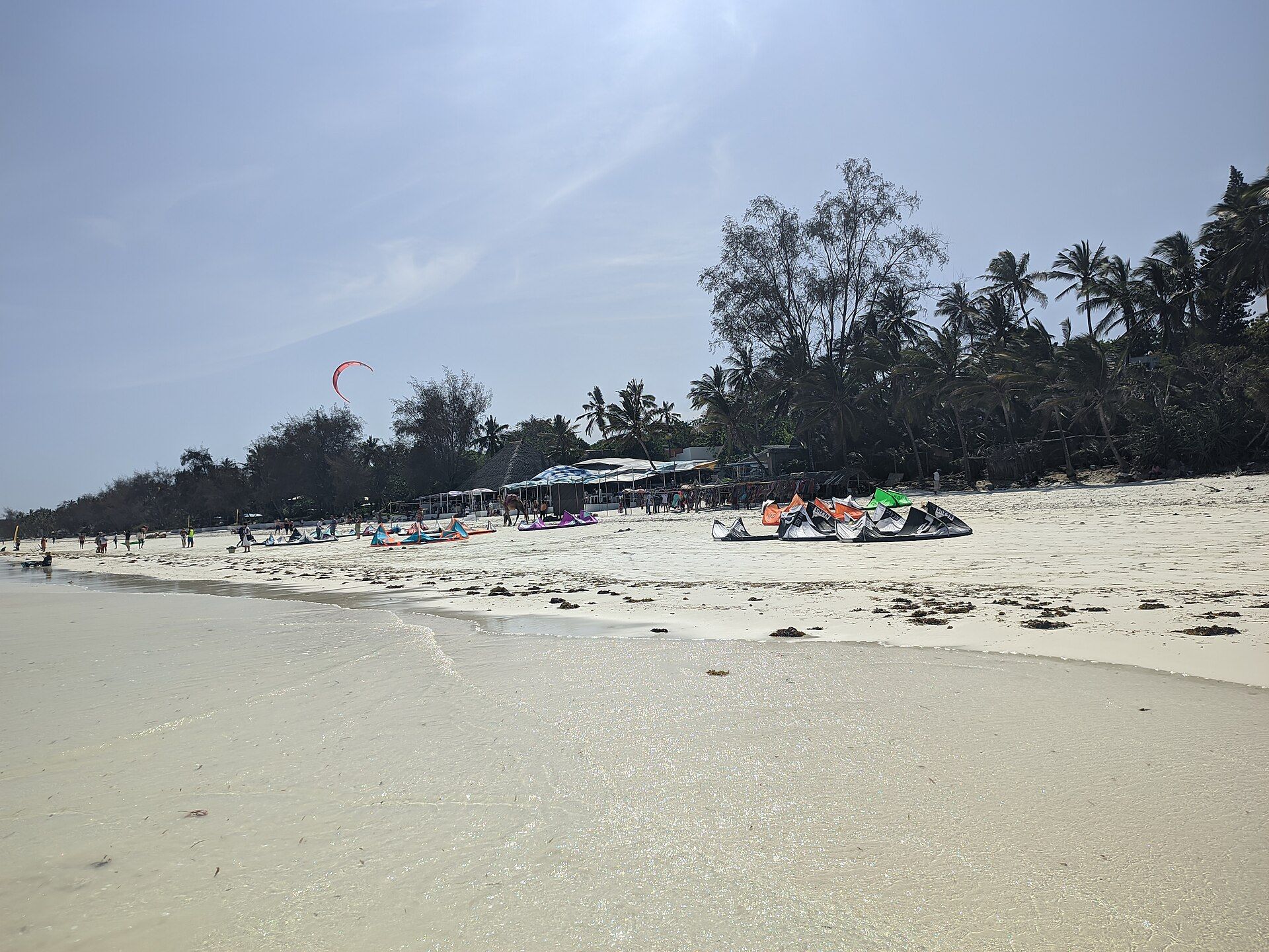 The beach at Diani on Kenya's south coast.
