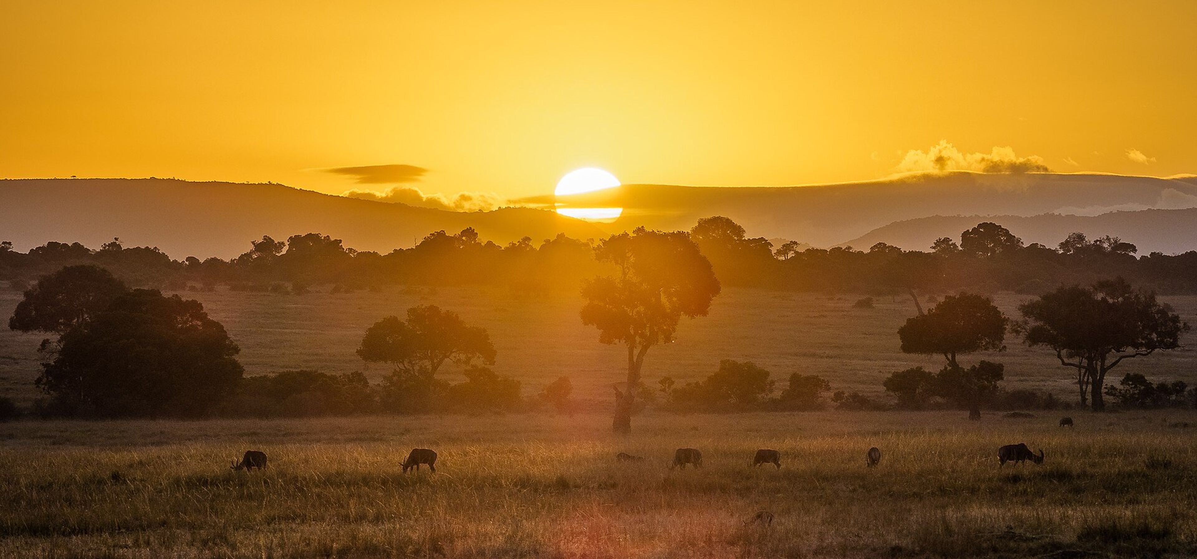 Sunrise over the Maasai Mara landscape.
