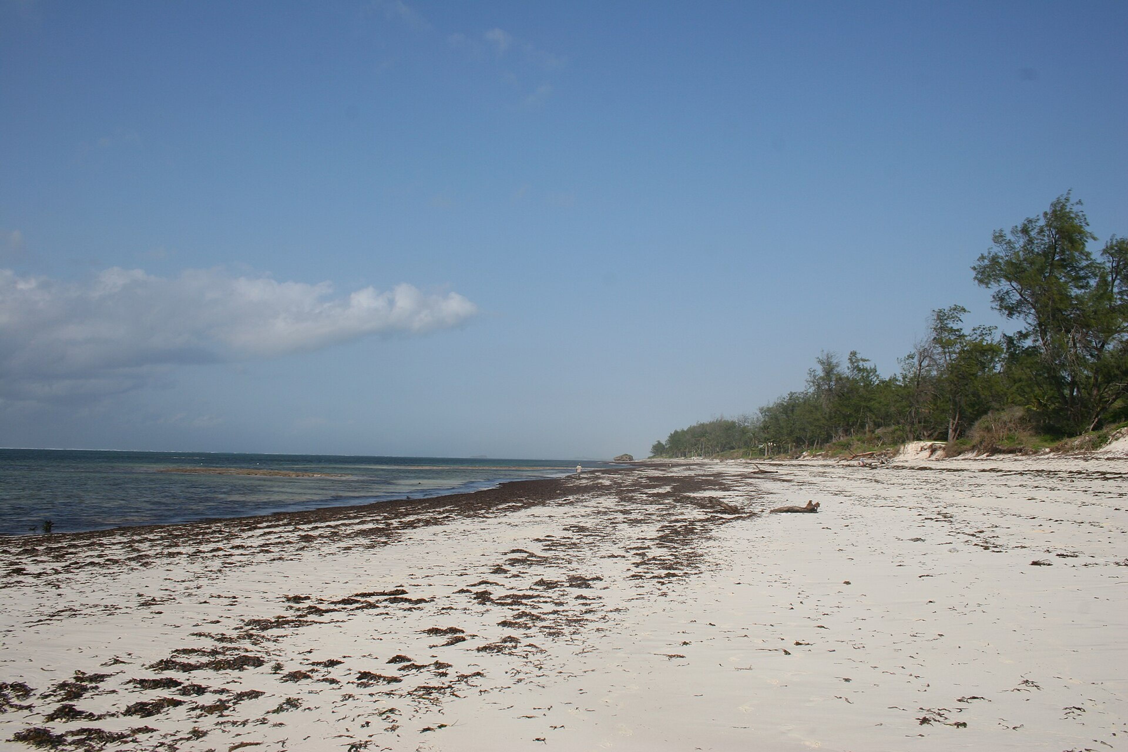 The Kenyan coast at Watamu.