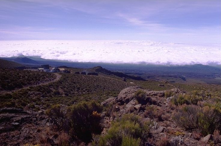 The Kilimanjaro landscape in Tanzania, East Africa.
